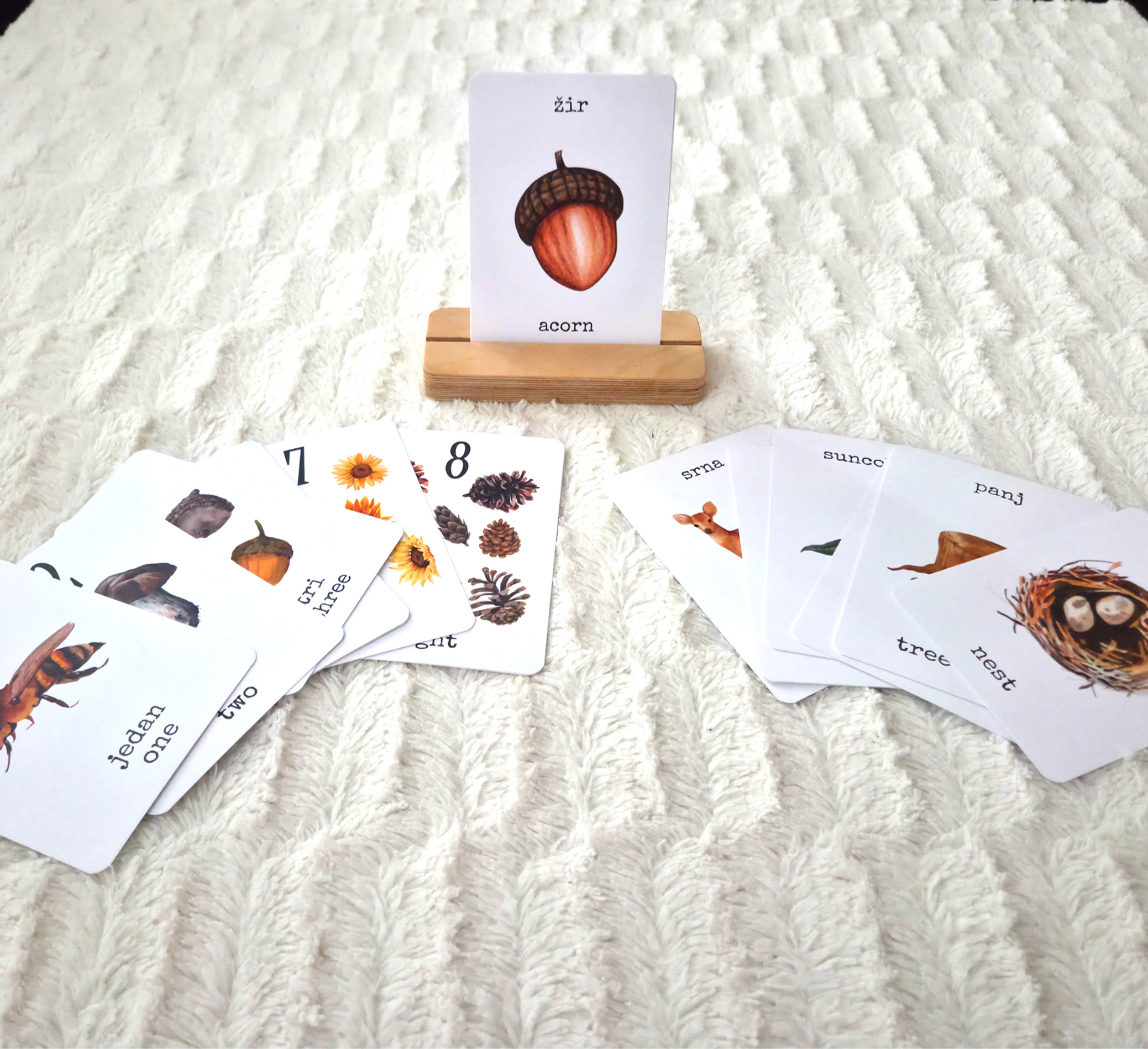 Flashcards HRV i ENG / Kartice dvojezične / Brojevi 1 do 10 + pojmovi iz šume +