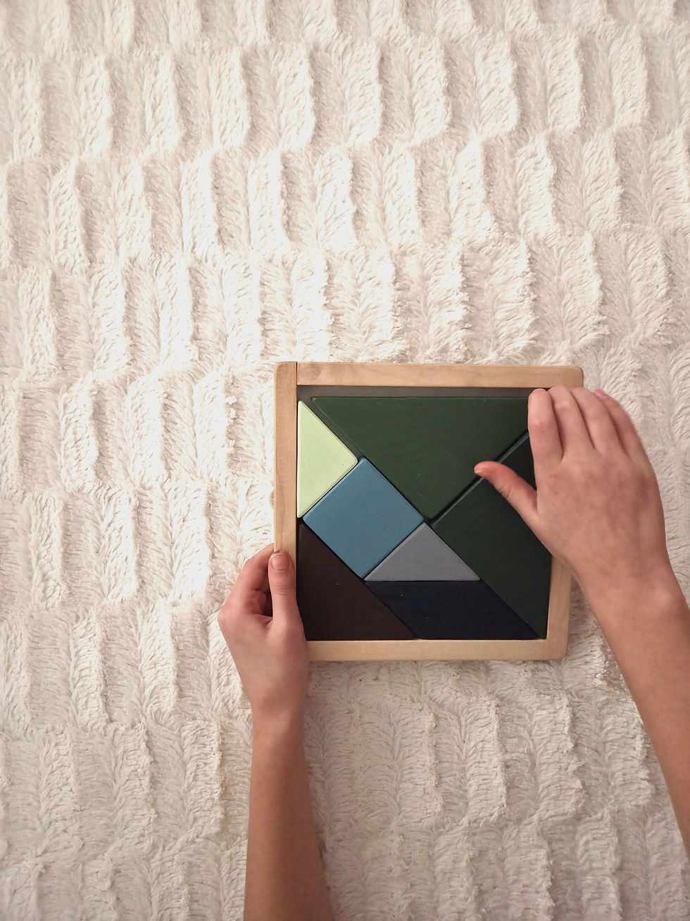 Thumbnail: Tangram u boji Forest dreams / drveni u kutiji