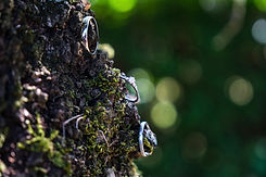 DSCF6571.JPG