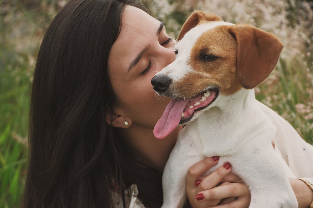 dog mom mama perros perritos puppy mascota love amor hijos bebes cute tierno perritos
