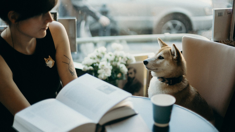 dog mom mama perros perritos puppy mascota love amor hijos bebes cute tierno perritos