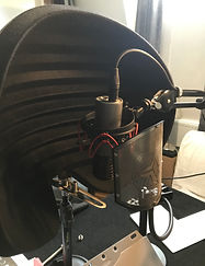 IMG_1519.jpeg