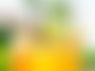 Copos com sucos coloridos