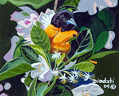 SPRING-ARRIVAL-WEBSITE.jpg