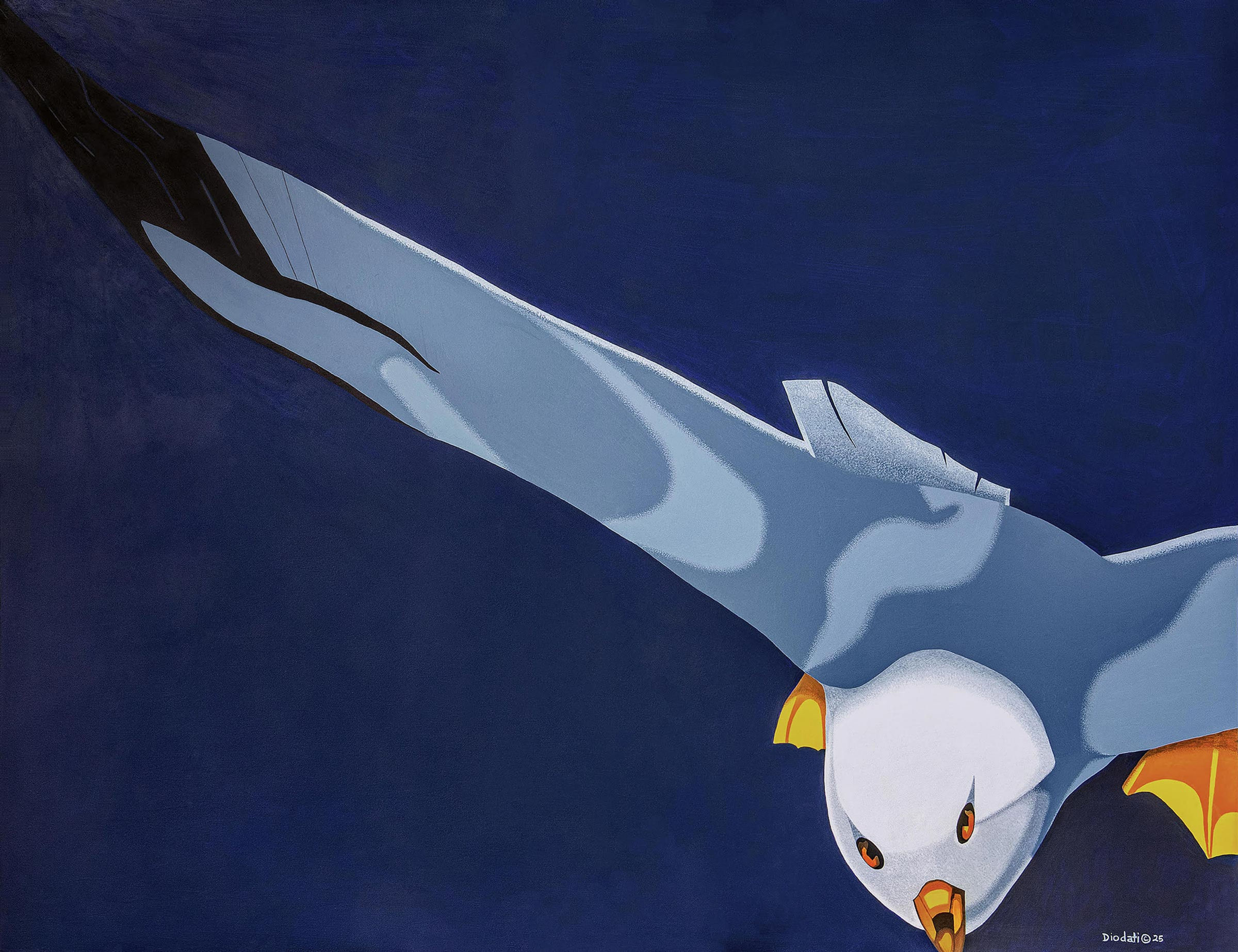 COMING IN FOR A LANDING