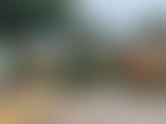 Defesa Civil Estadual orienta população sobre cuidados com árvores no período de chuvas intensas