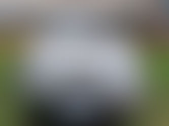 Leilão da Receita tem iPhone 15 a partir de R$ 922 e caminhão por R$ 46 mil; veja como participar