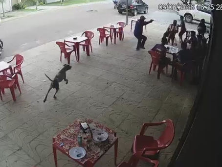 Jovem é morto a tiros em lanchonete na frente de colegas em MT/Veja o vídeo