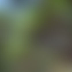 Mourning the loss of place