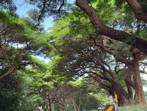 Mourning the loss of place