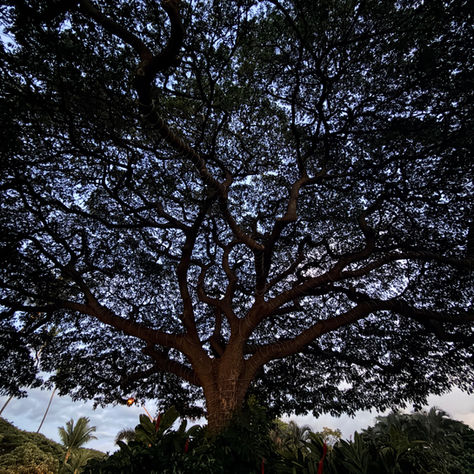 Grief lasts a lifetime