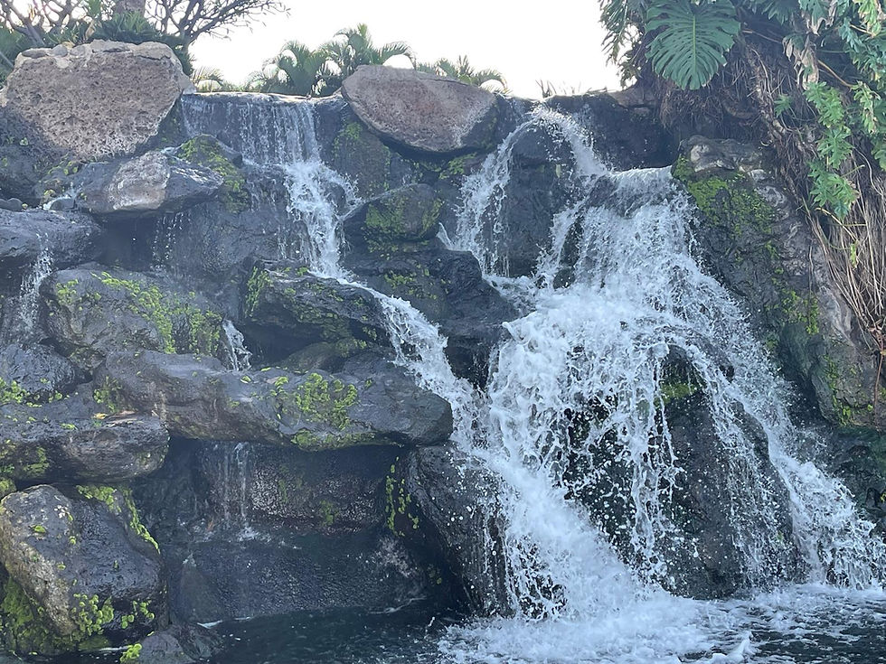 A cascading waterfall gracefully flows over moss-covered rocks, surrounded by lush greenery, creating a serene and natural oasis.