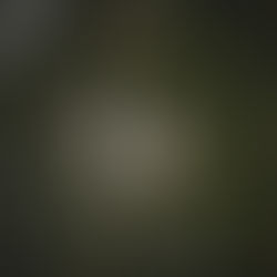 "Life is as fragile as a spider's web..."