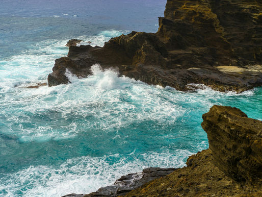 What about the Keiki and Kupuna?