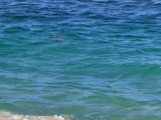 Writing Down Your Feelings Helps