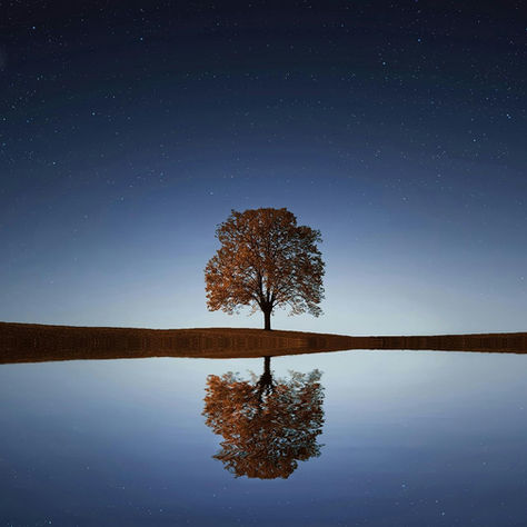 Reflections Beneath the Stars: Finding Stillness in a Noisy World