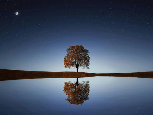 Reflections Beneath the Stars: Finding Stillness in a Noisy World
