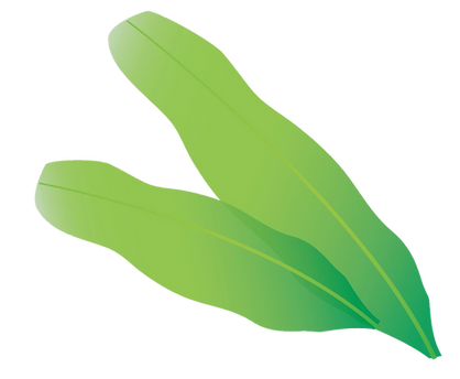 Dekorative Palmenblätter-Grafik