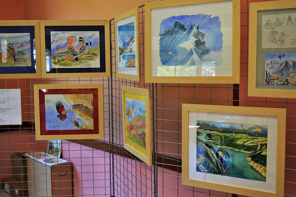 Expo Alexis Nouailhat