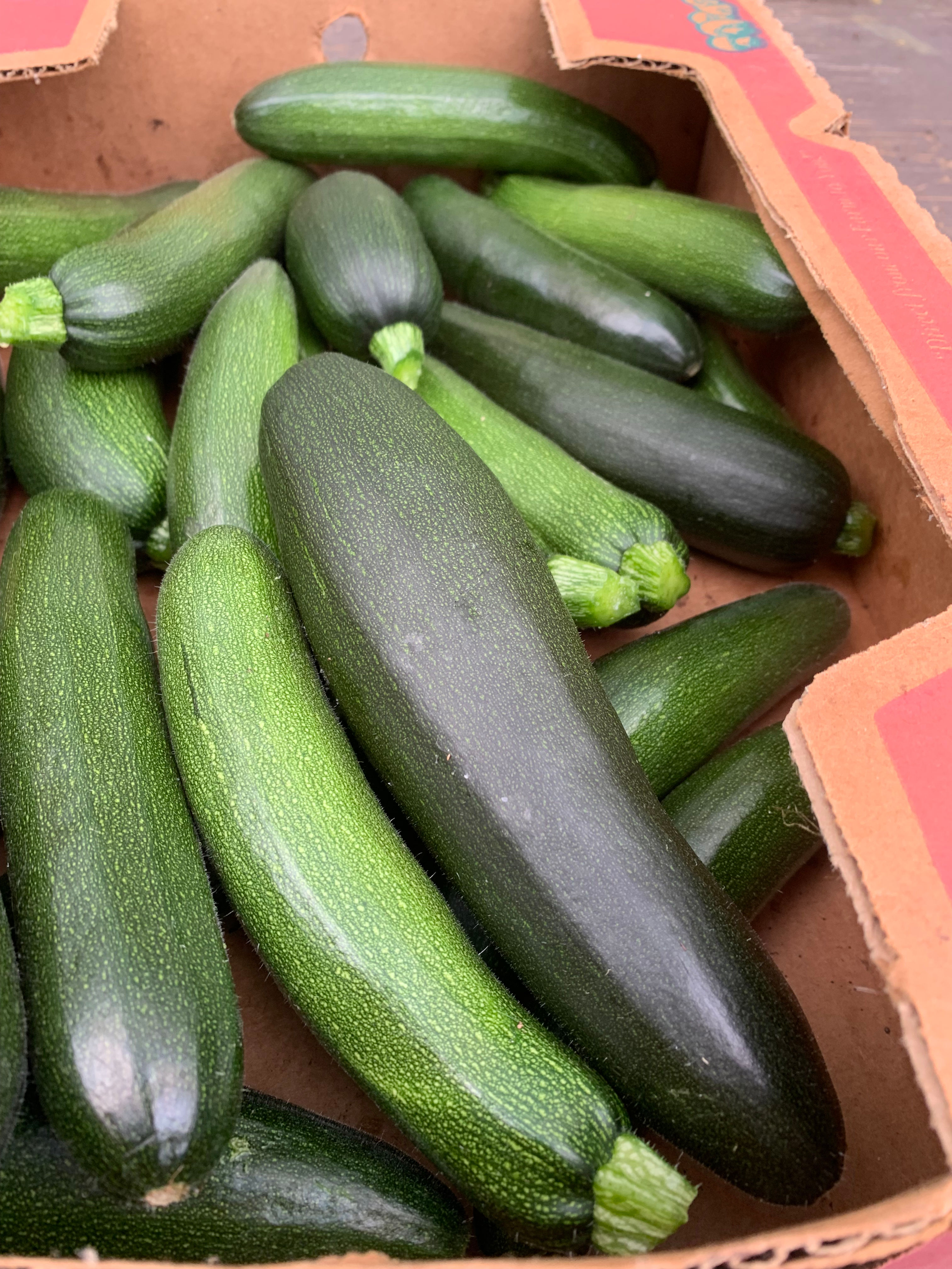 Zucchini