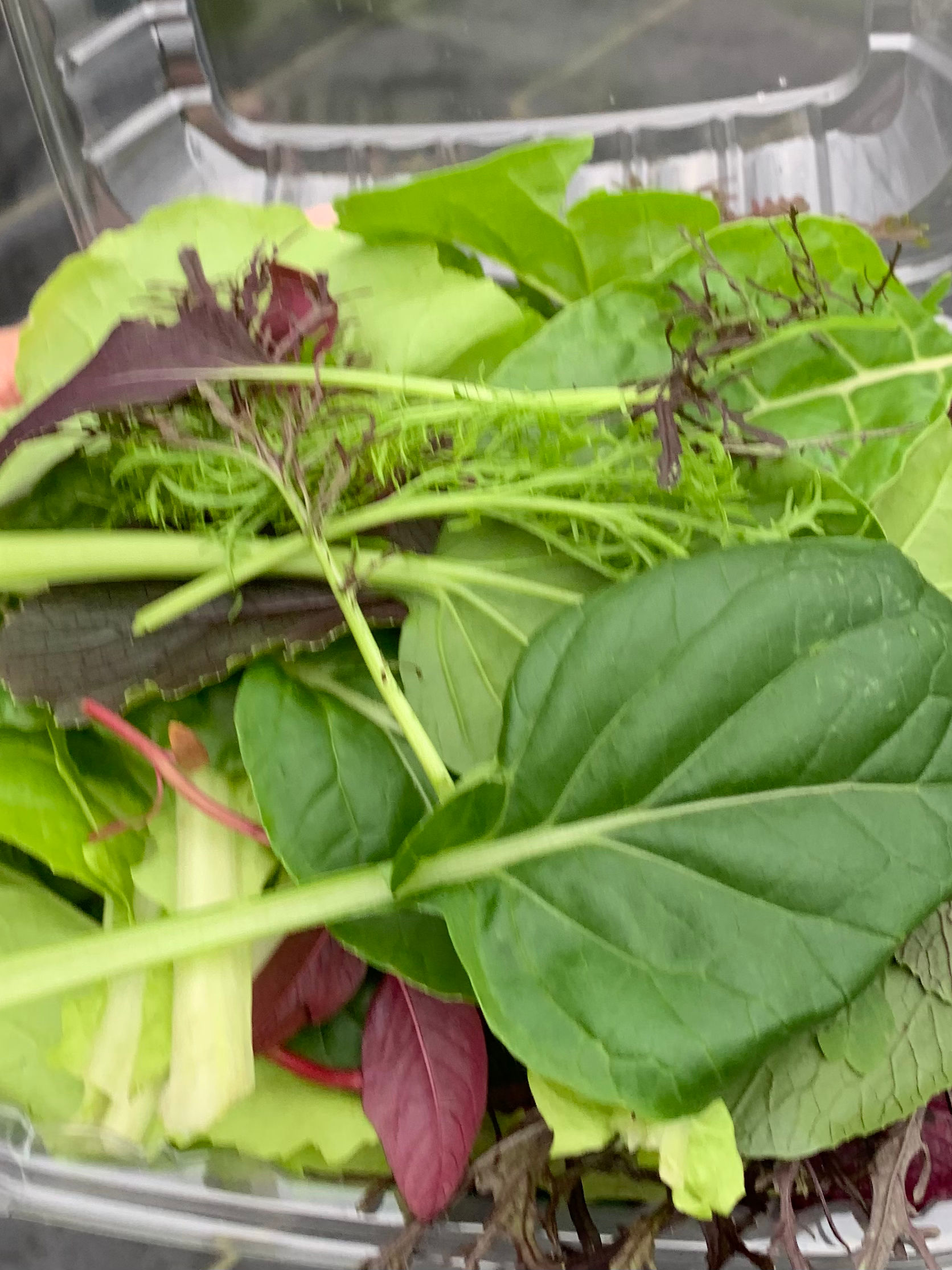 Spring Mix