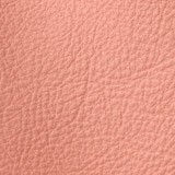 Thumbnail: Florence II Facepowder