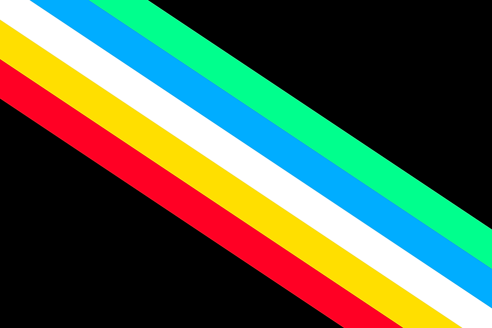 Intended to include all those with disabilities the colours of the flag represent the following: The White Stripe: Invisible and Undiagnosed Disabilities  The Red Stripe: Physical Disabilities  The Gold Stripe: Neurodivergence  The Blue Stripe: Psychiatric Disabilities  The Green Stripe: Sensory Disabilities