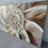 Thumbnail: NAUTILUS POMPILIUS VI