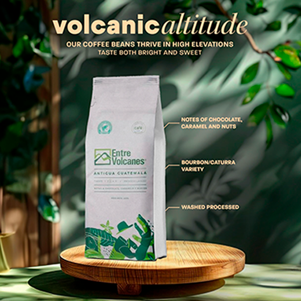 Entre volcanes 4.png