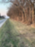 Tree lines-Ditches After.jpg