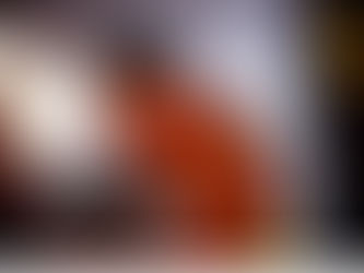 Egy sportpályafutás és a növényi rostok