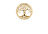 ENVISION  Logos (2).png.png