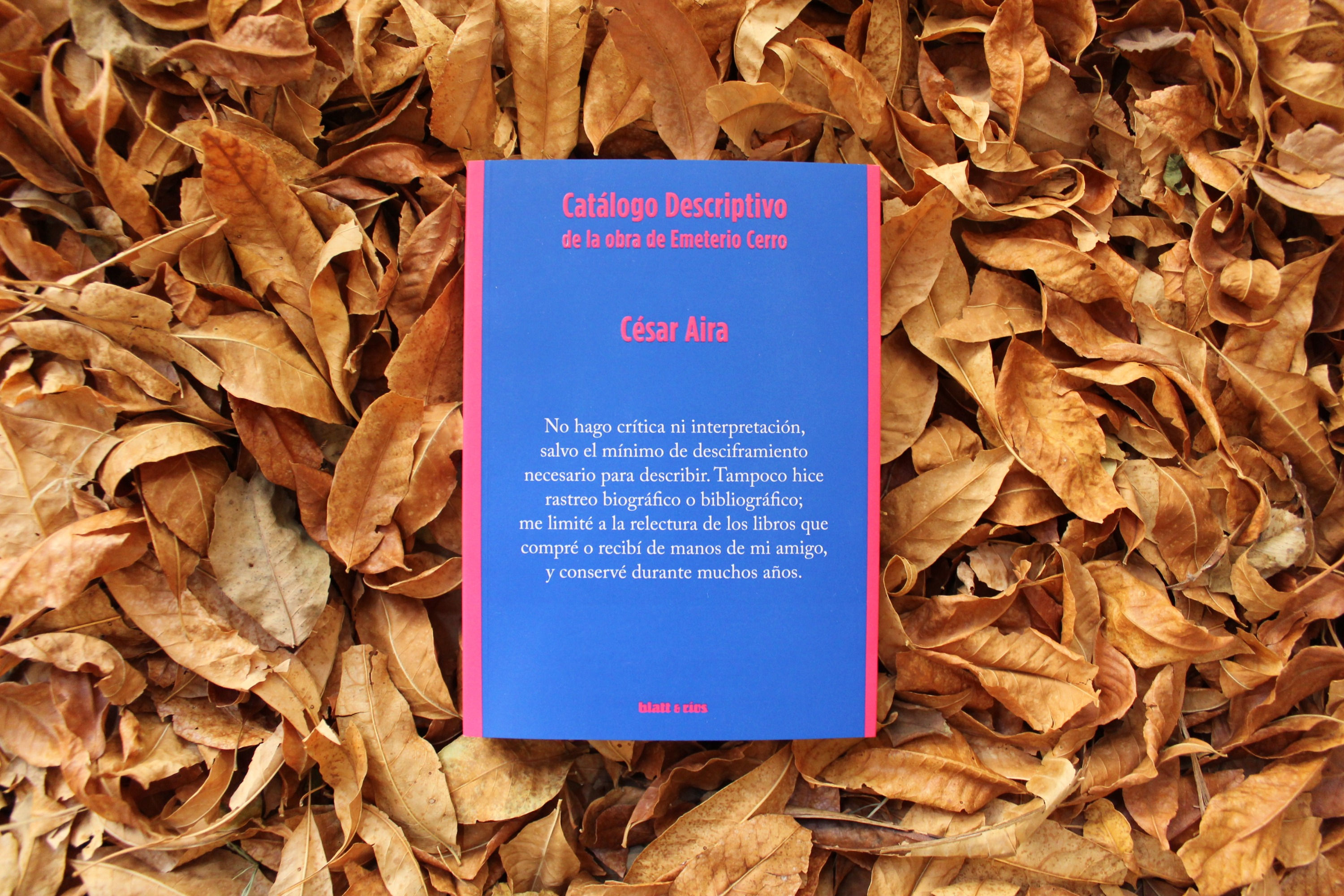 Catálogo descriptivo de la obra de Emeterio Cerro - César Aira