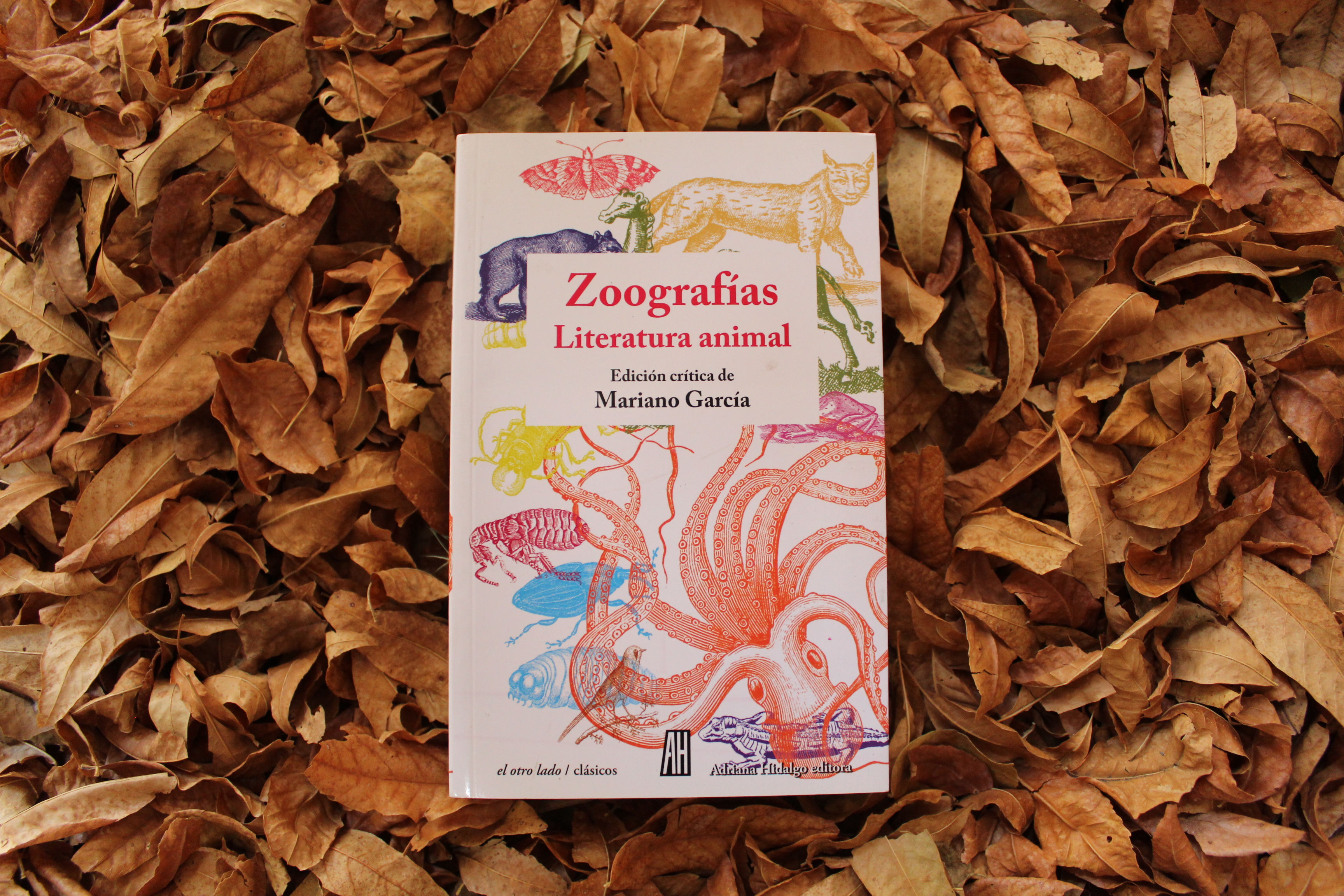 Zoografías - Mariano García