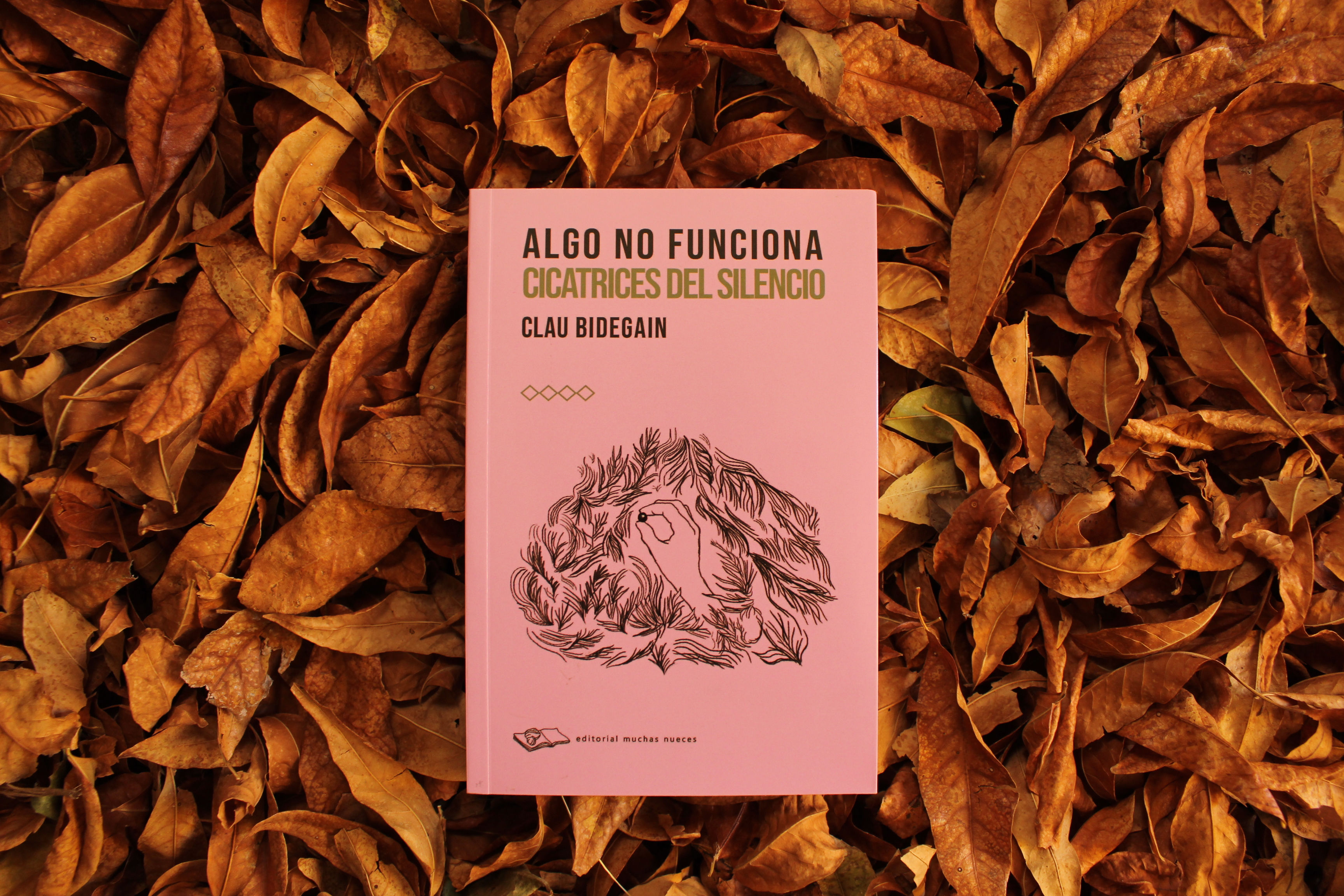 Algo no funciona. Cicatrices del silencio - Clau Bidegain