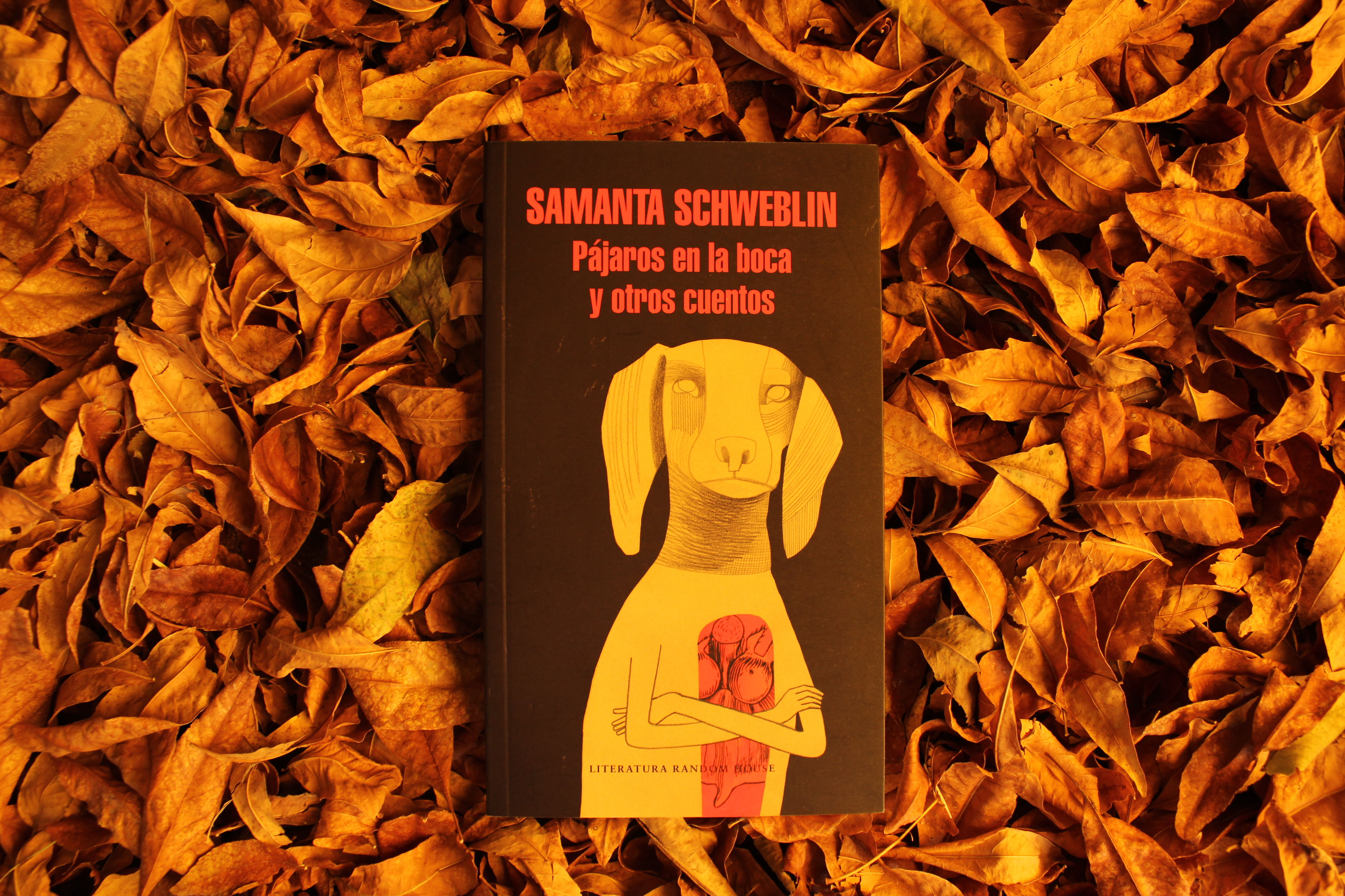 Pájaros en la boca y otros cuentos - Samanta Schweblin