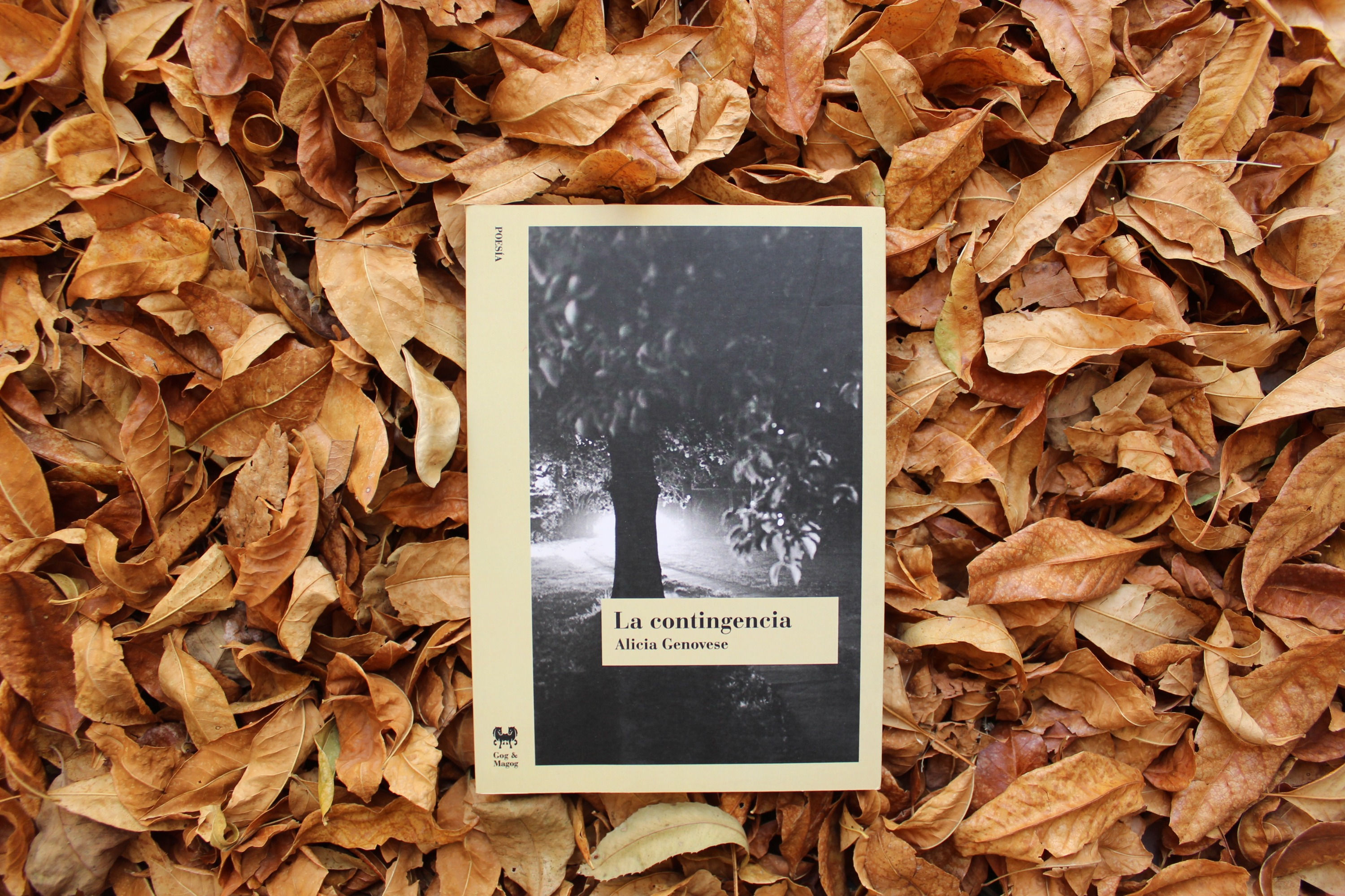 La contingencia - Alicia Genovese