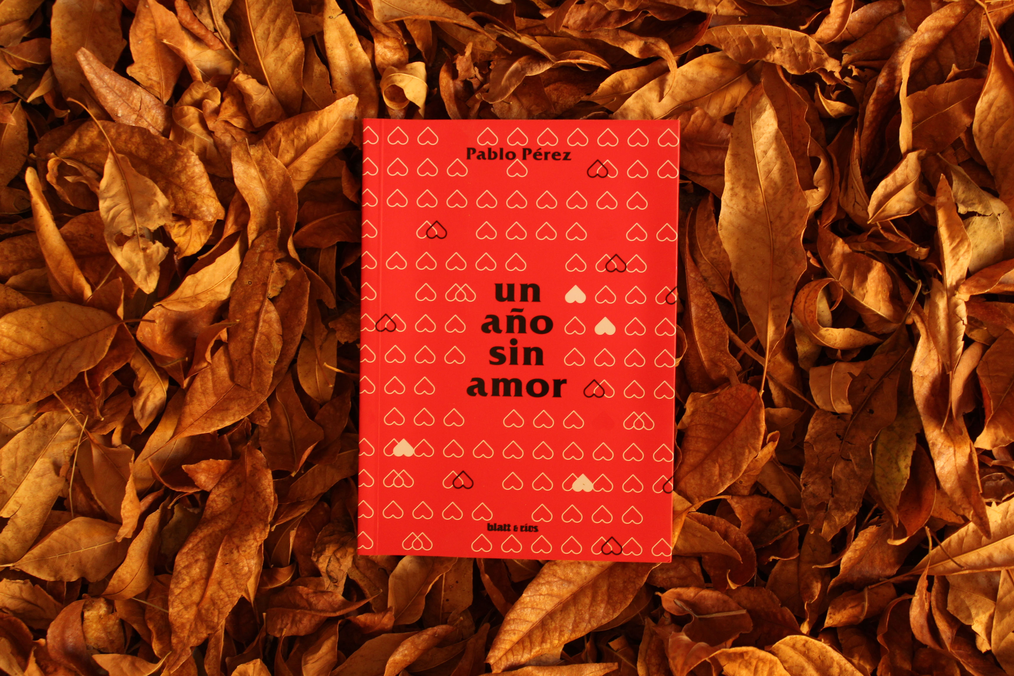 Un año sin amor - Pablo Pérez