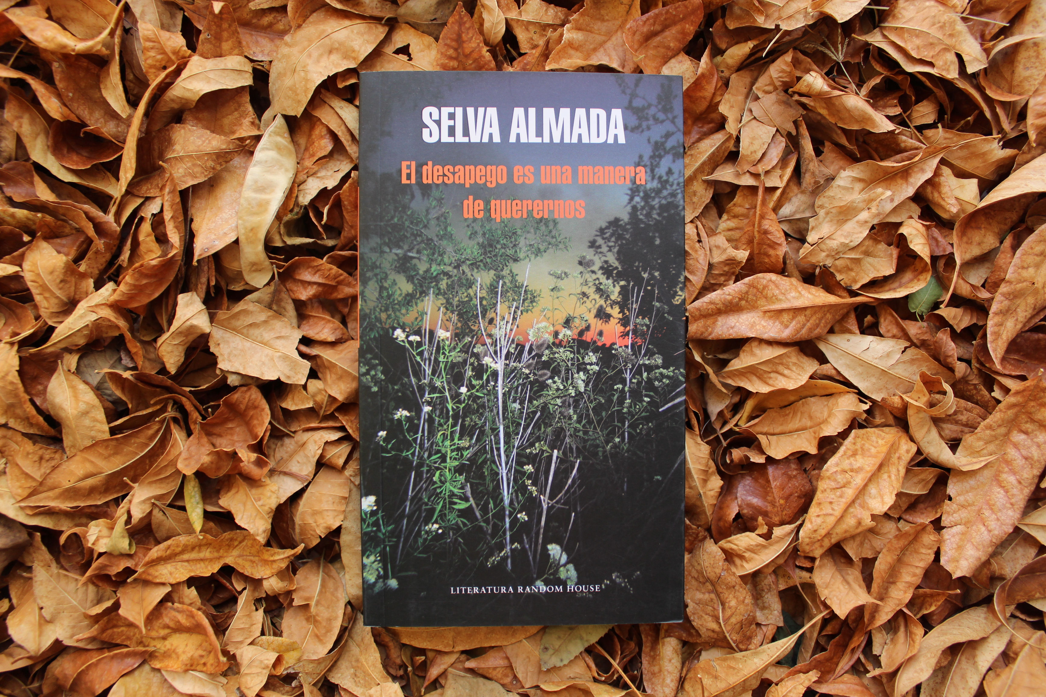 El desapego es una manera de querernos - Selva Almada