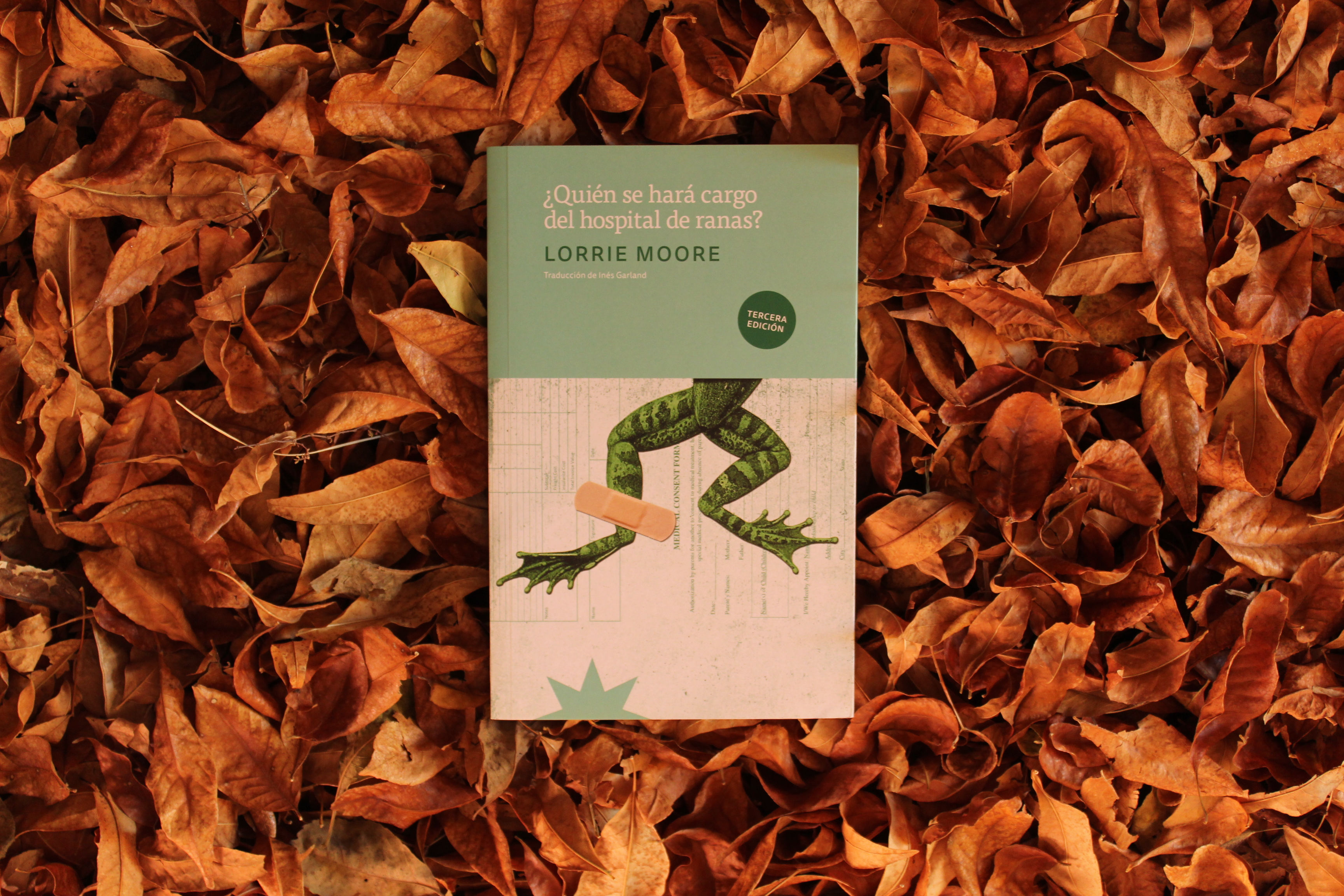 ¿Quién se hará cargo del hospital de ranas? - Loore Moore