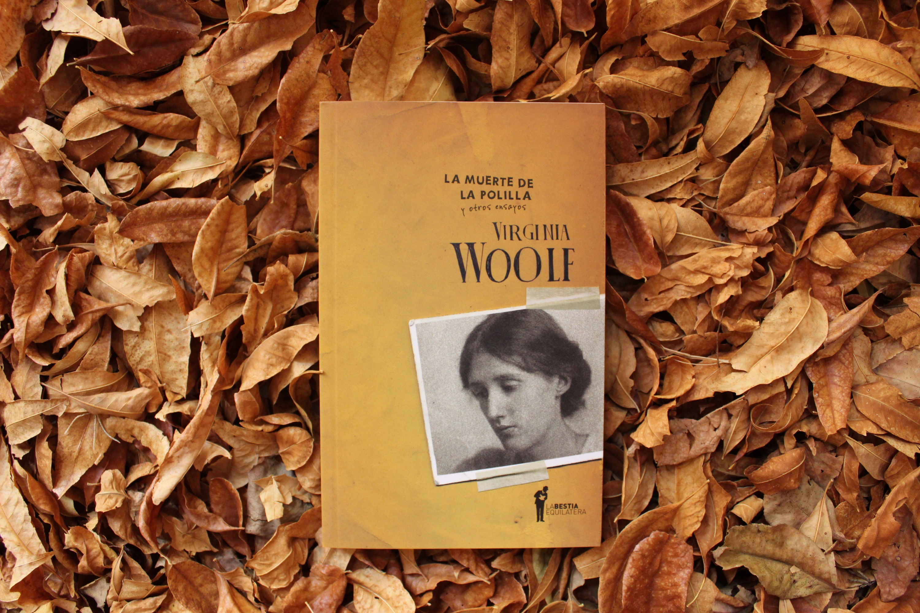 La muerte de la polilla y otros ensayos - Virginia Woolf