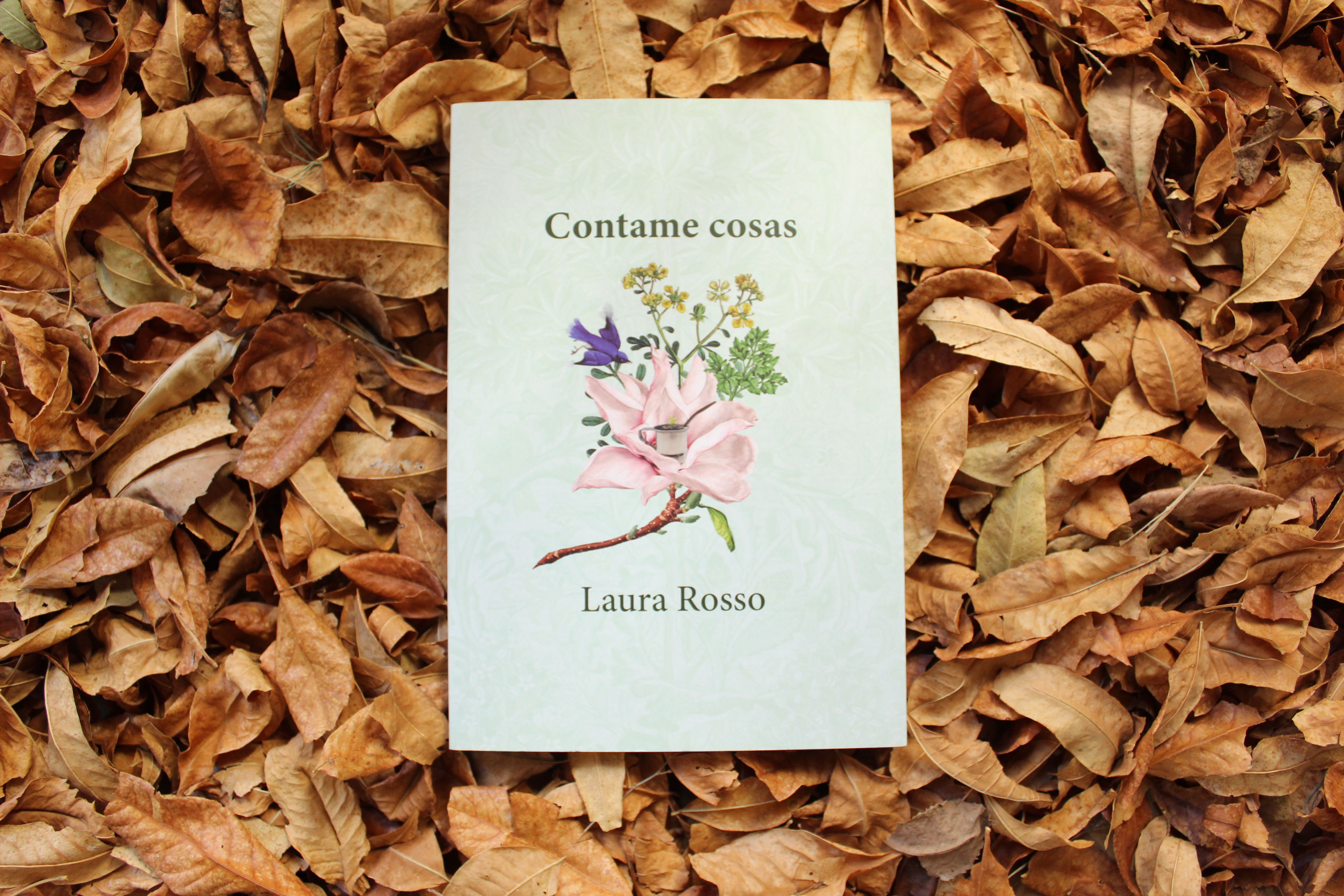 Contame cosas - Laura Rosso