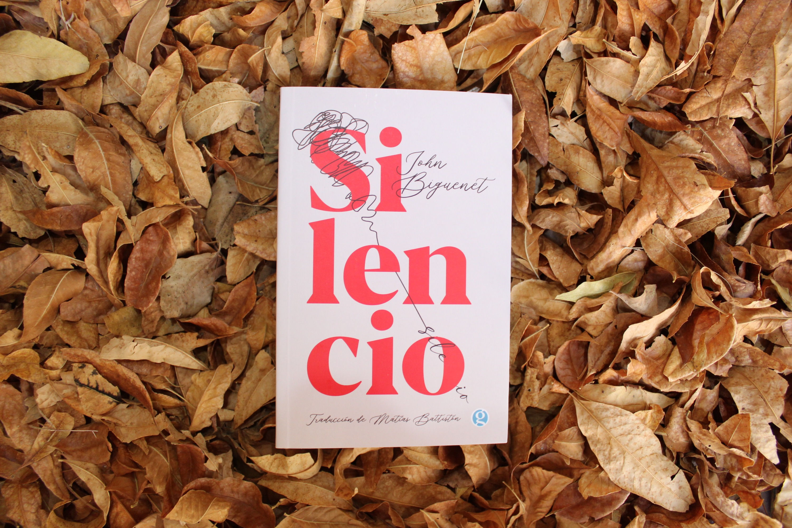 Silencio - John Biguenet