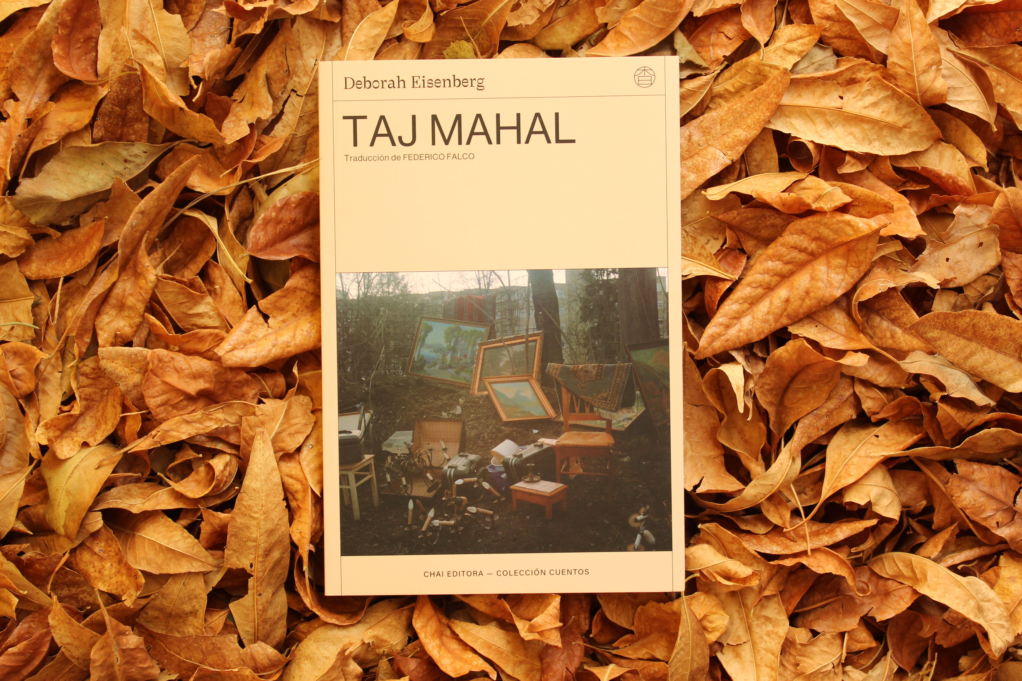 Taj Mahal - Deborah Eisenberg