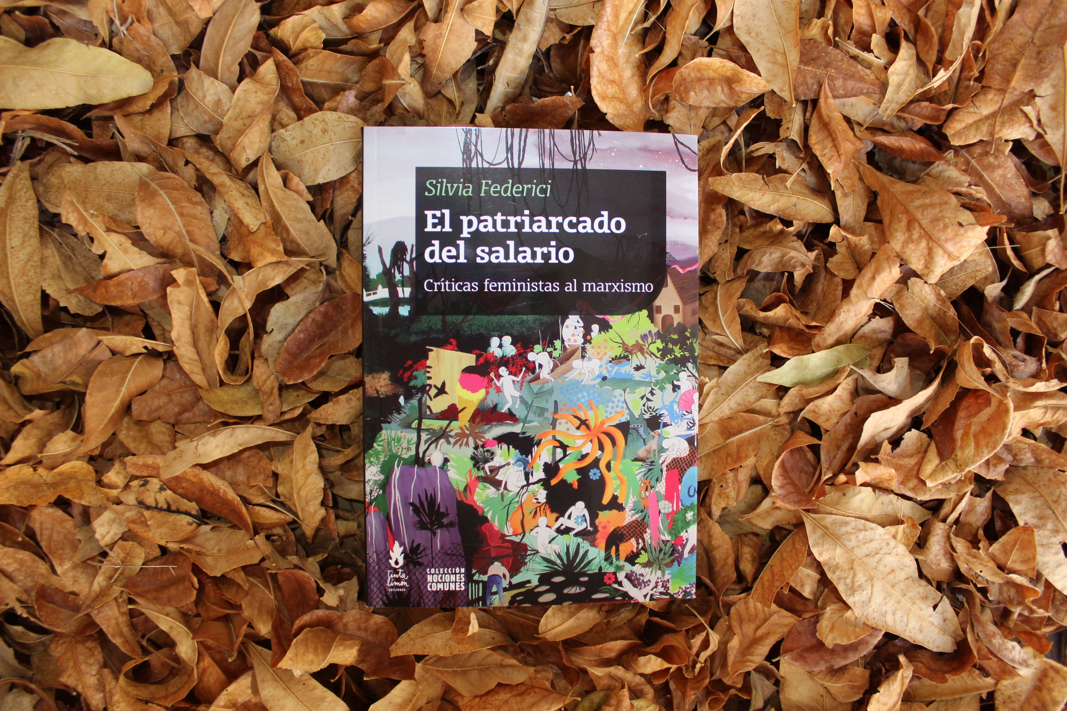 El patriarcado del salario - Silvia Federici