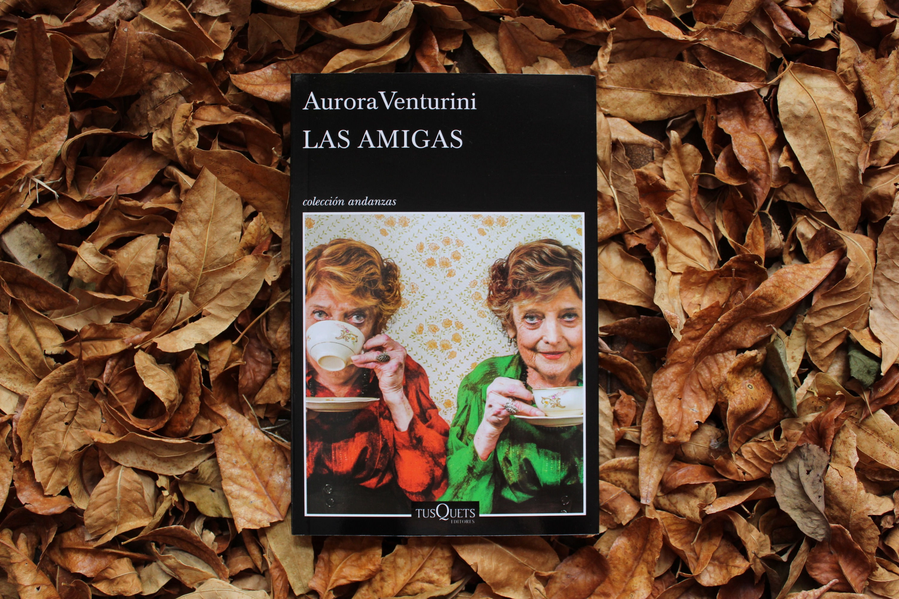 Las amigas - Aurora Venturini