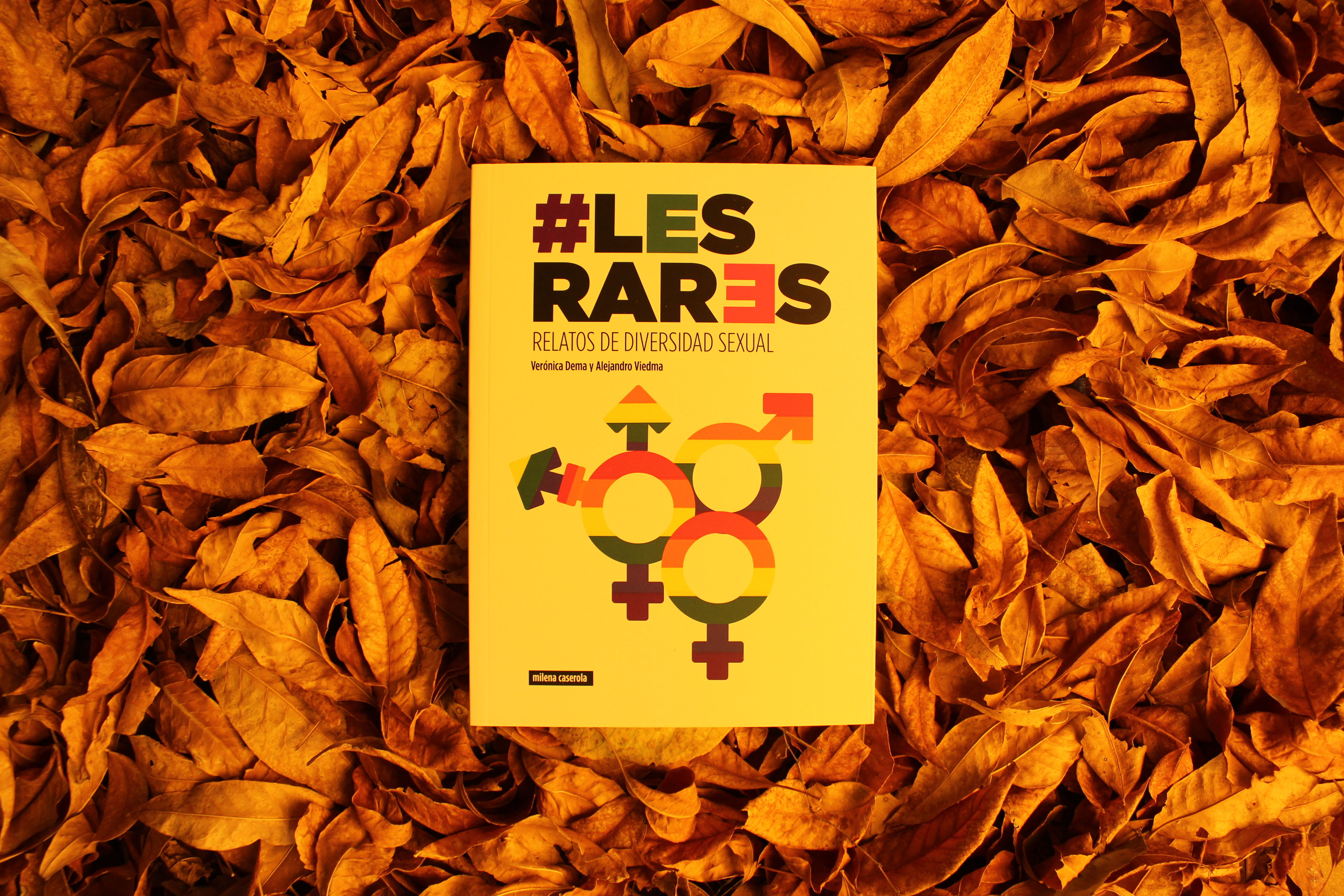 Les Rares. Relatos de diversidad sexual - Verónica Dema / Alejandro Viedma