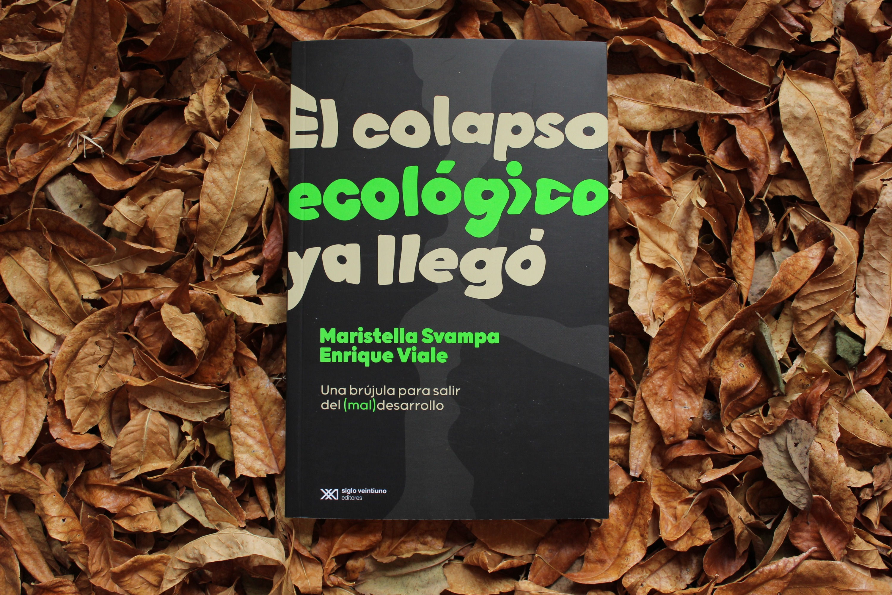 El colapso ecológico ya llegó - Viale / Svampa