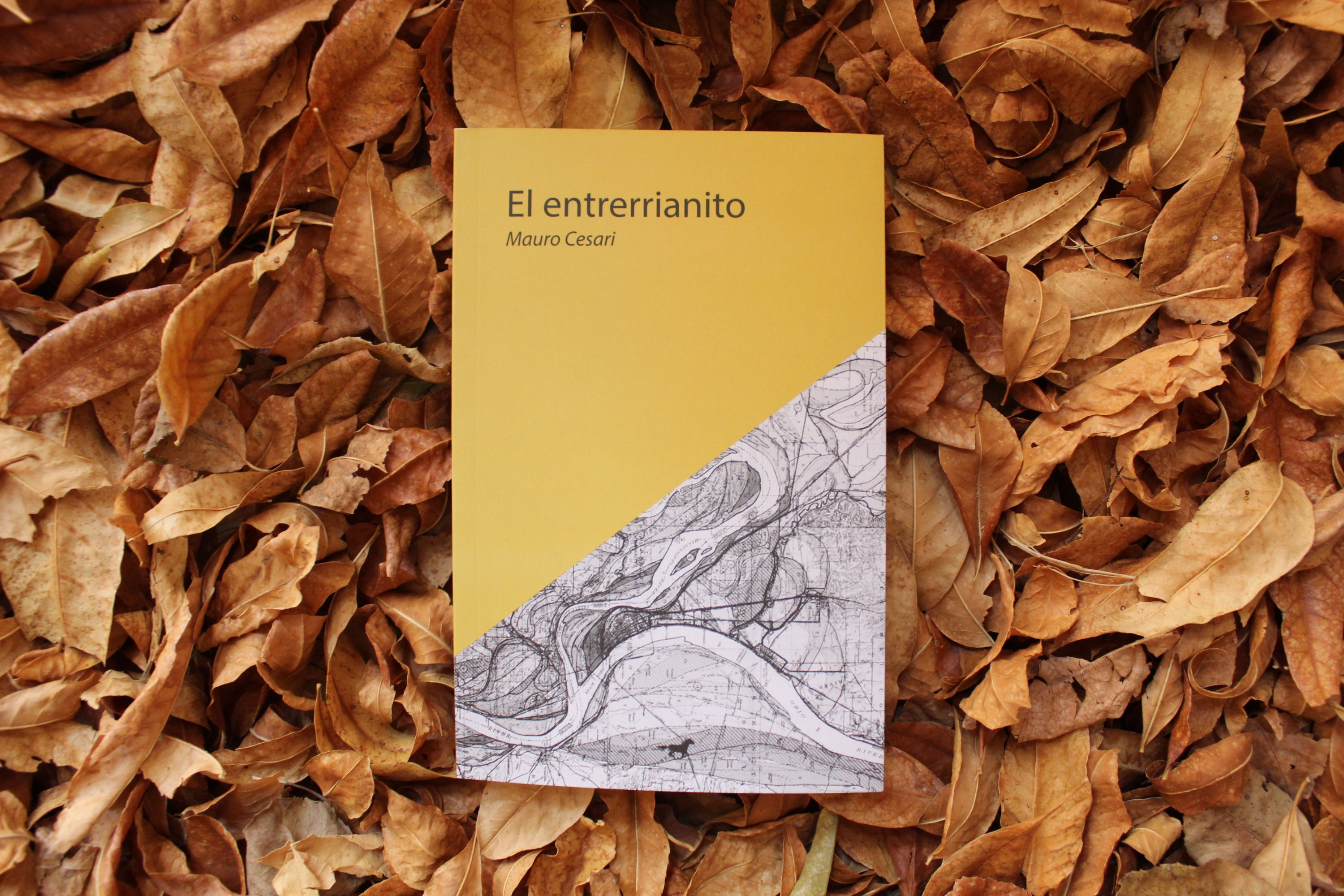 Los ligámenes / El entrerrianito - Mauro Cesari