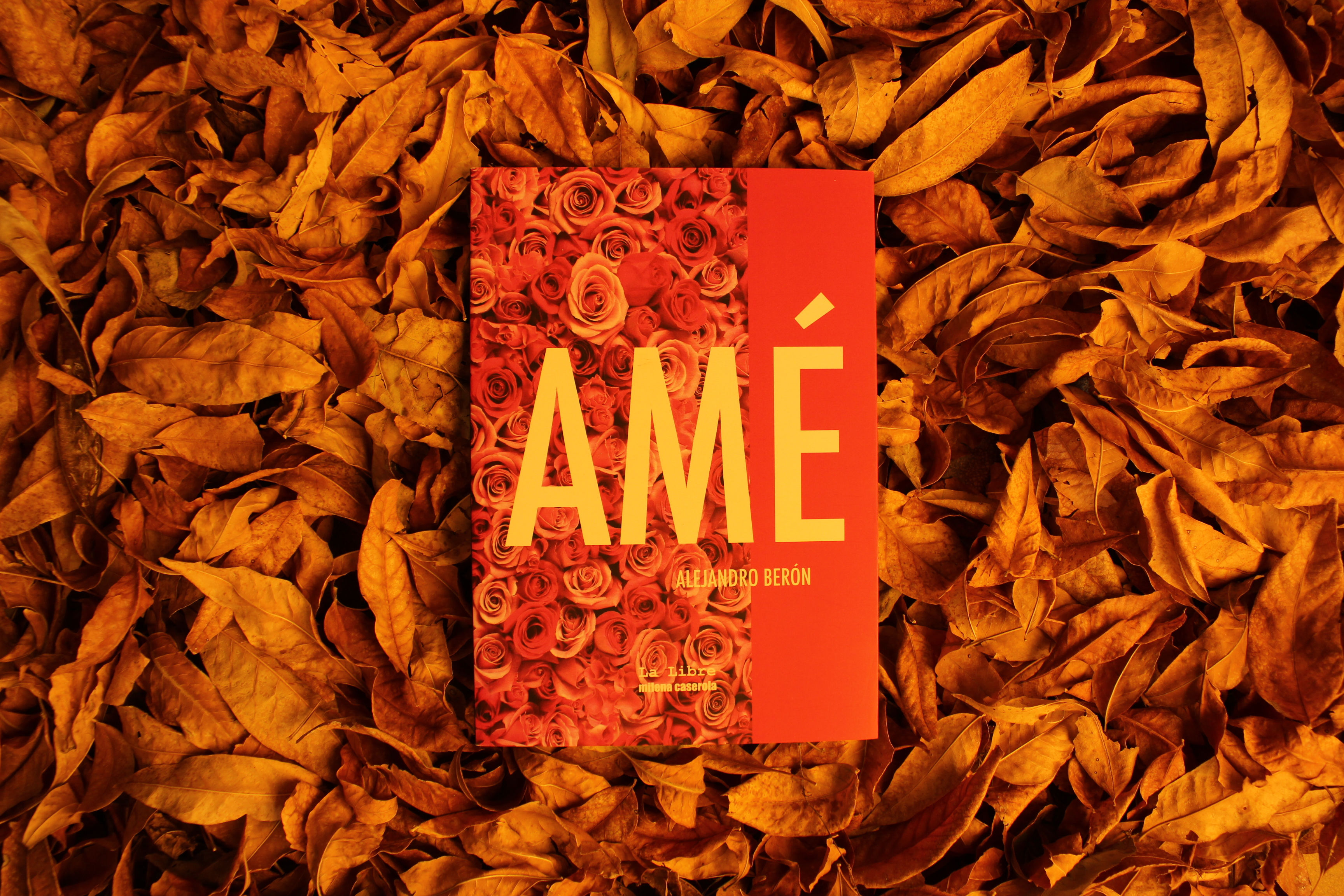 Amé - Alejandro Berón